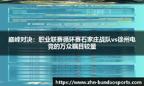 巅峰对决:职业联赛循环赛石家庄战队vs徐州电竞的万众瞩目较量
